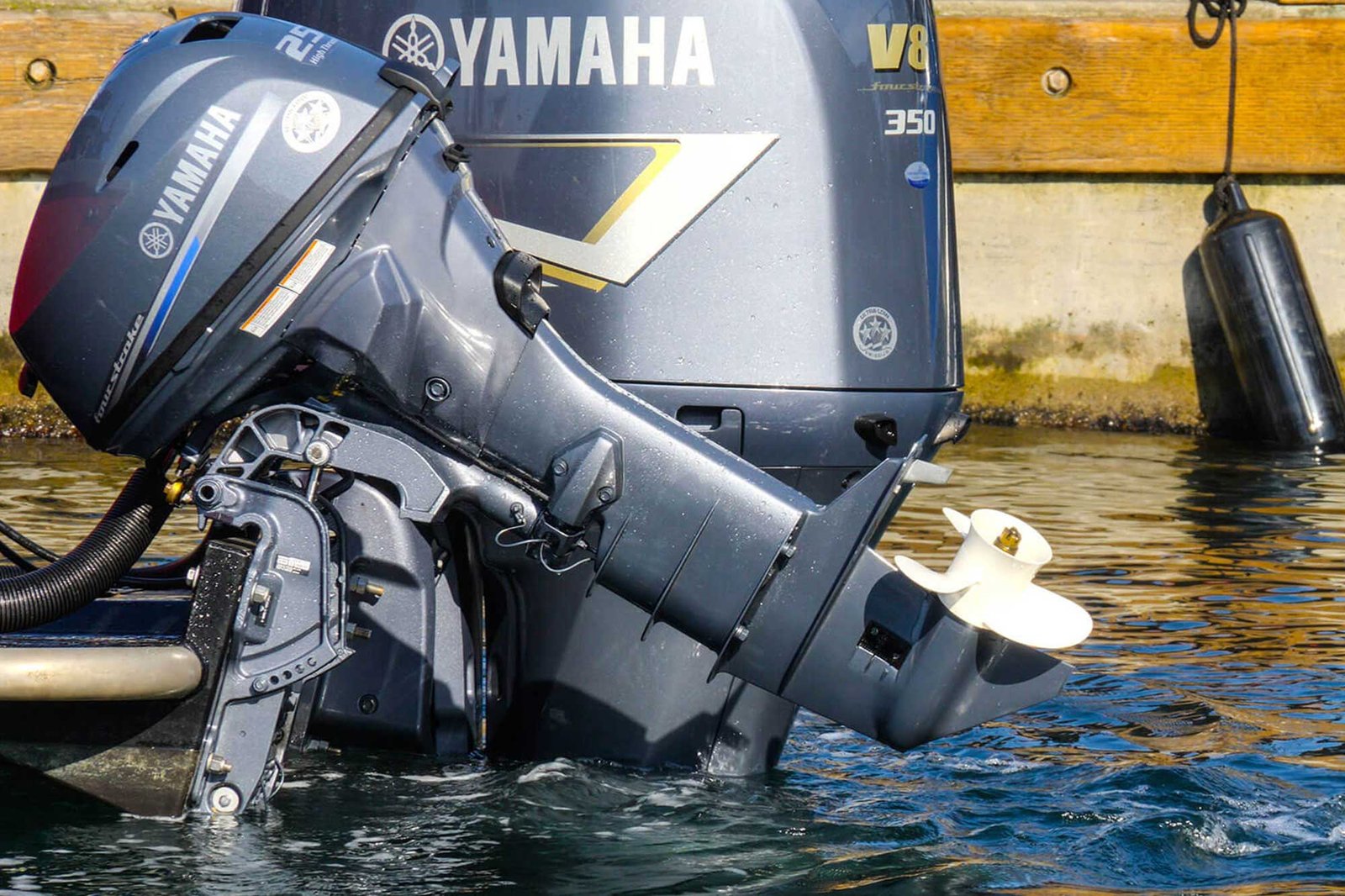 Yamaha T25 HIGH THRUST