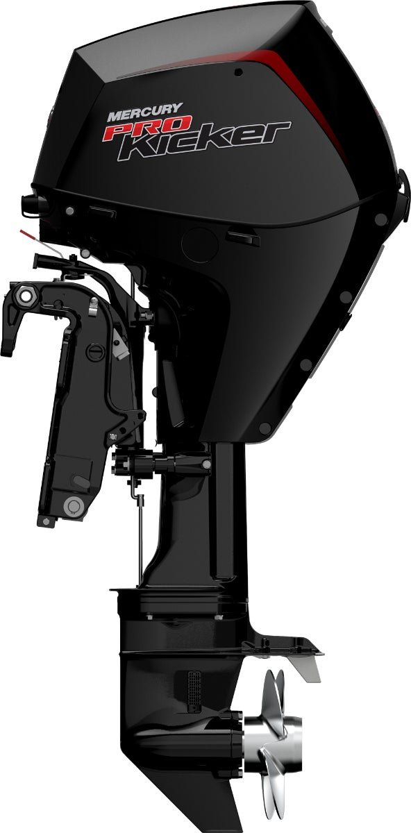 2025 Mercury 9.9ELHPT Command Thrust — photo 4